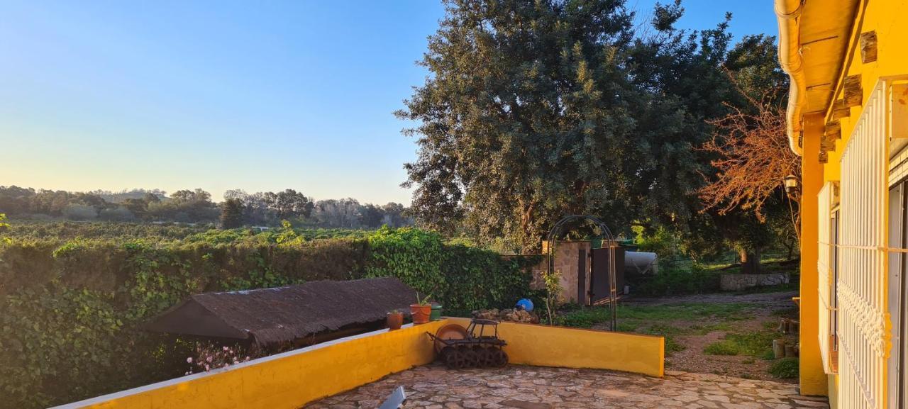 San Martín La Alqueriaヴィラ エクステリア 写真